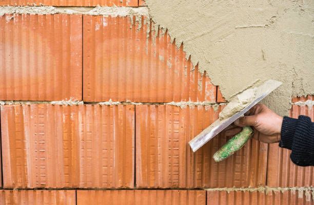 маламашки - 8039 снимки