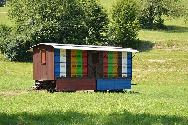 пчеларство - 52876 отстъпки