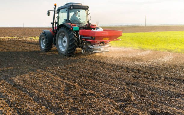 торове - 43113 типа торове - 75309 типа