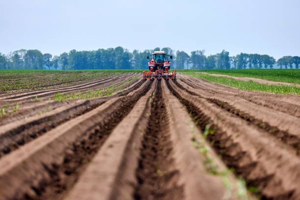 трактори - 3975 бестселъри