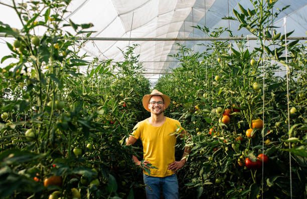 земеделец - 39222 цени